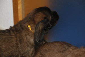 4.Lebenswoche-Hannes-Besuch 016